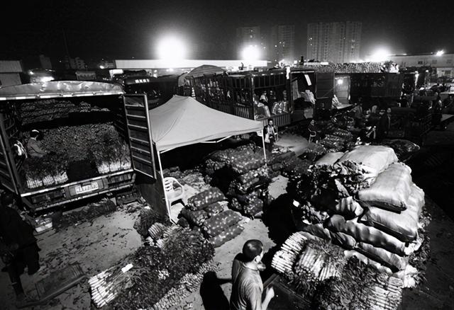 掌握新技能與完成任務，最新趨勢下的步驟指南