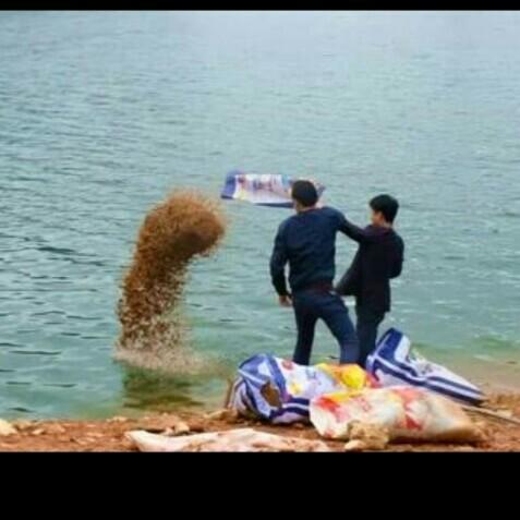 科學(xué)釣魚最新探索，學(xué)習(xí)與實踐的成就感之旅