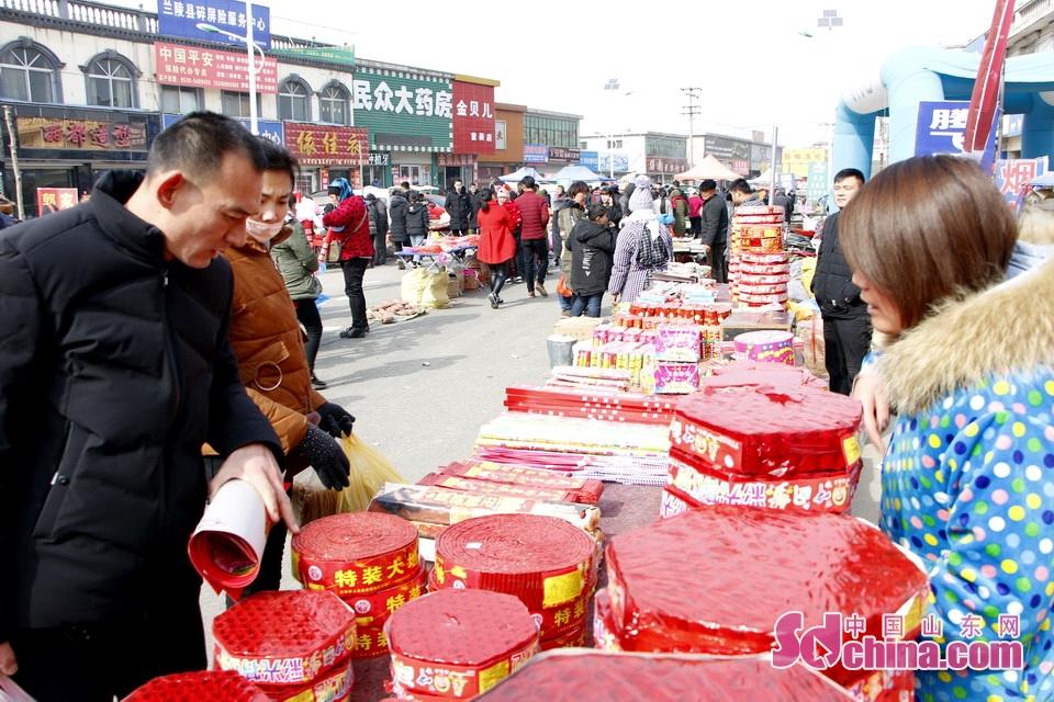 淘元素最新，淘淘的奇妙冒險之旅與友情的溫暖體驗