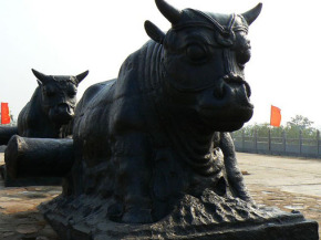 鐵牛視頻最新精彩呈現(xiàn)，領(lǐng)略與眾不同的世界！