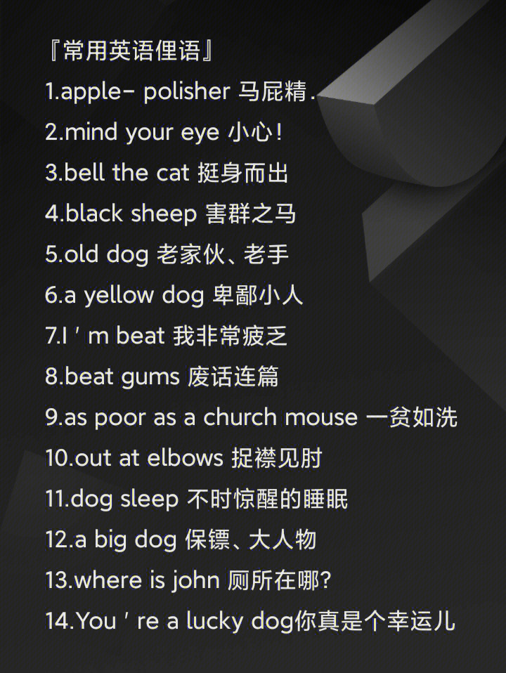 英文最新俚語揭秘，小巷秘密小店的潮流詞匯