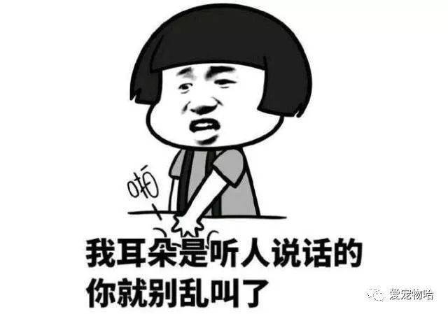 最新枕邊笑話，科技小寶貝，生活添樂趣