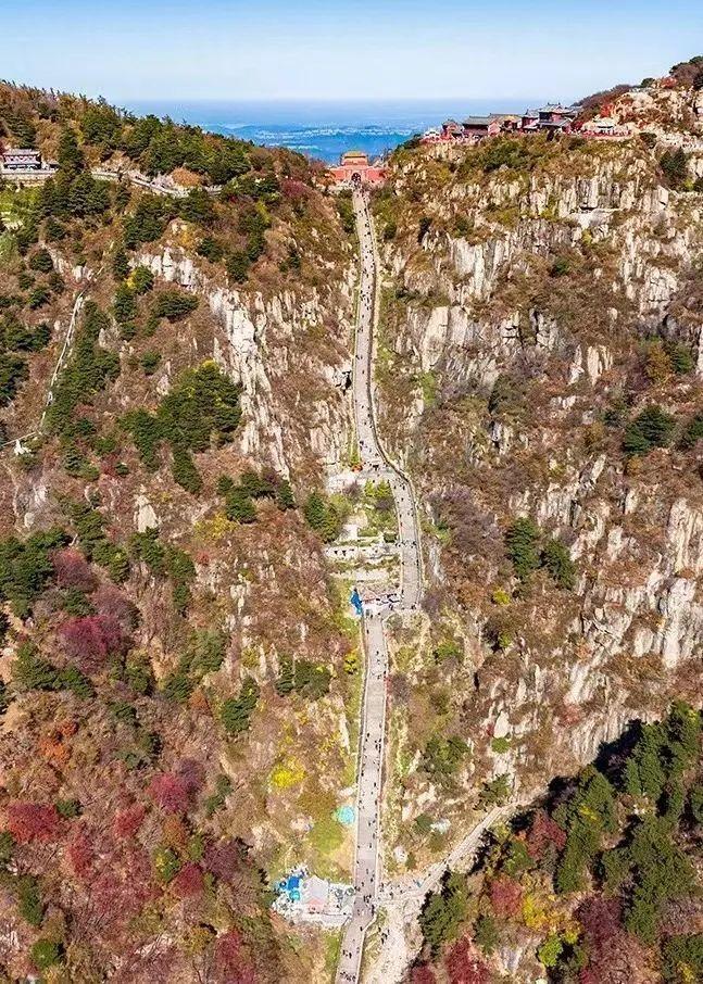 泰山最新聞，觀點(diǎn)與立場(chǎng)的深度探討