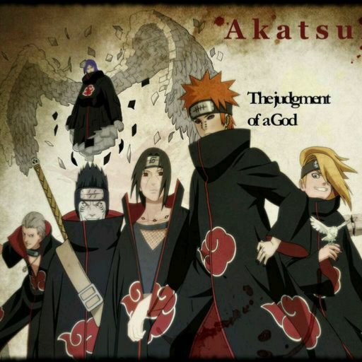 曉組織最新動態(tài)揭秘，探究其發(fā)展與影響