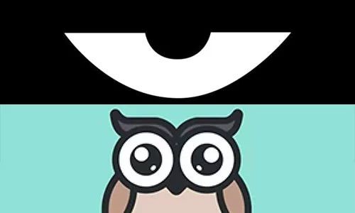 最新積目，全面解讀與觀點(diǎn)闡述