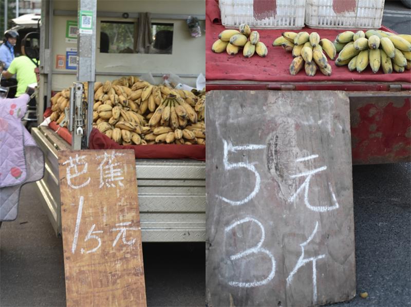 芭蕉最新價(jià)格，開(kāi)啟心靈平靜的綠色之旅