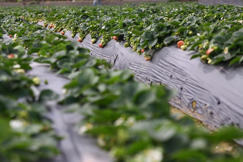 湖北最新封鎖，科技智能重塑防線，守護生活安全