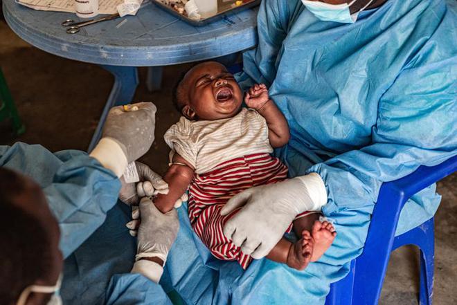 本土感染最新情況，自然美景中的探索之旅