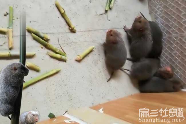 工礦燈具 第75頁(yè)