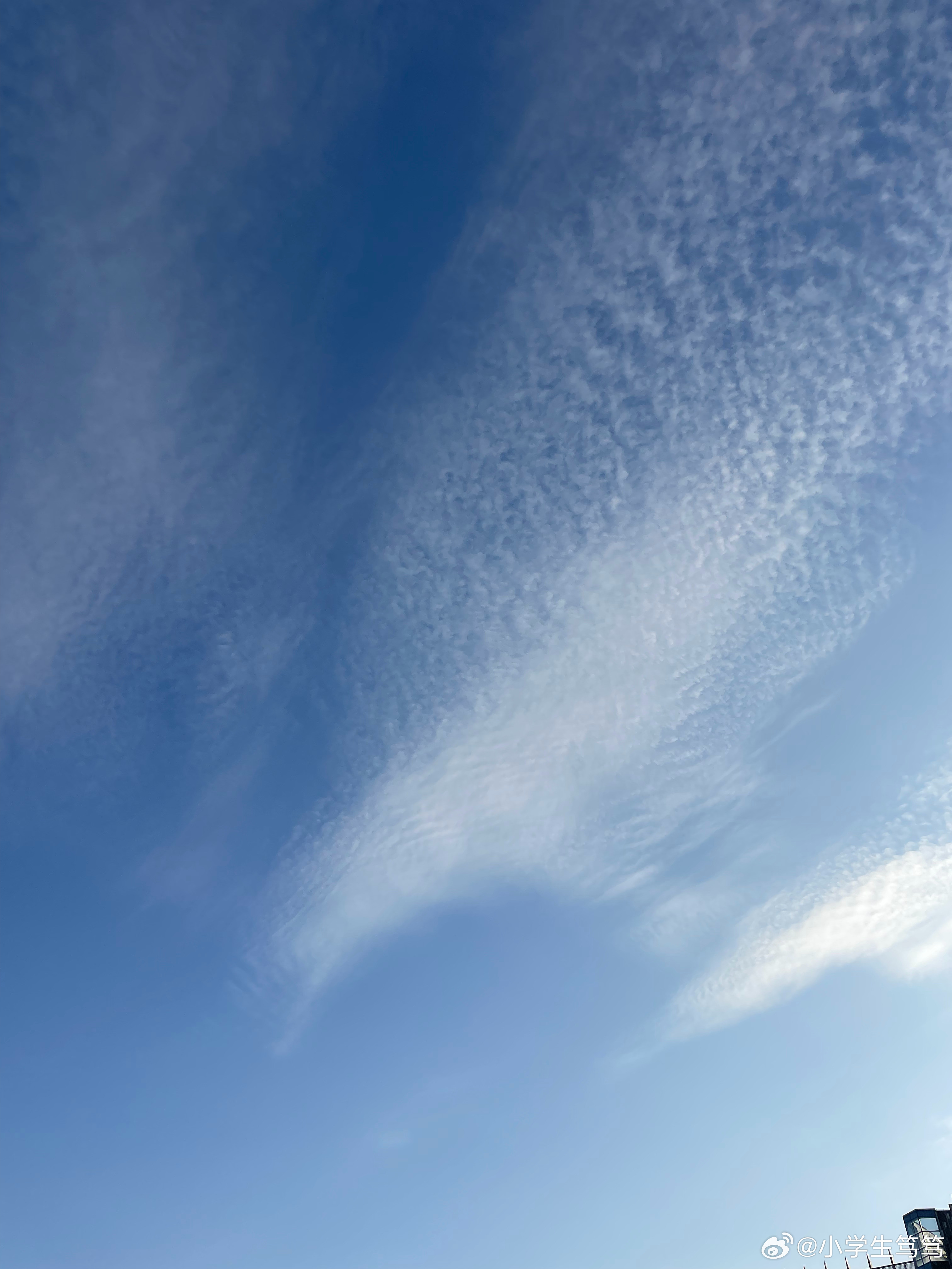 云飄飄最新，小巷深處的獨特風味美食體驗