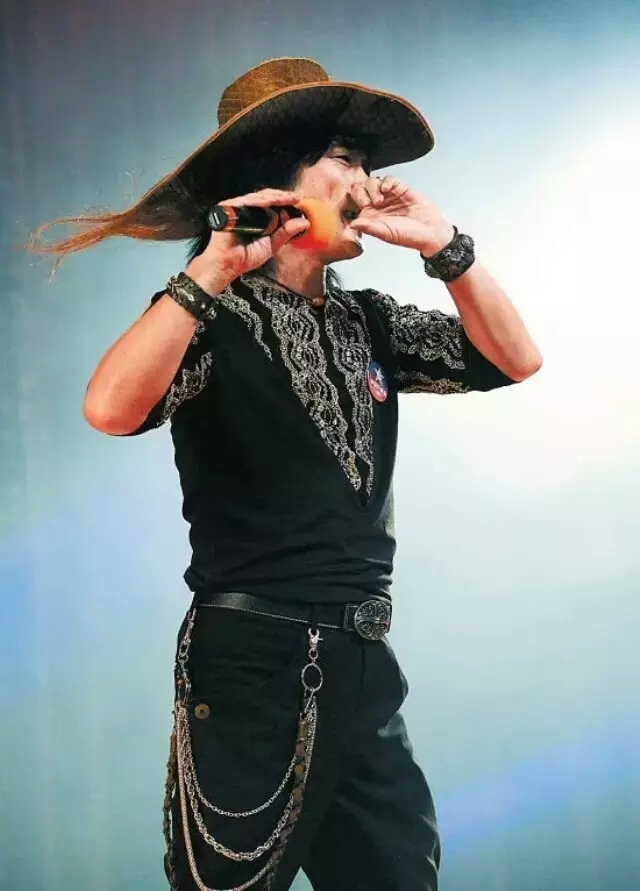 指哨最新，自然美景之旅，探尋內(nèi)心平靜與喜悅的旅程