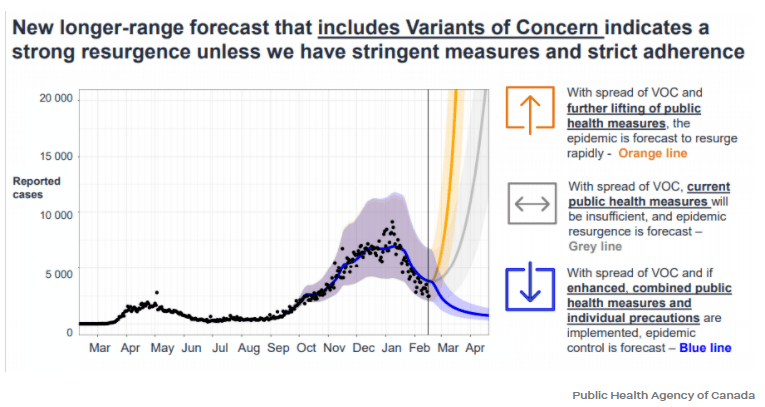 約克最新疫情動(dòng)態(tài)，學(xué)習(xí)變化中的自信與成就力量