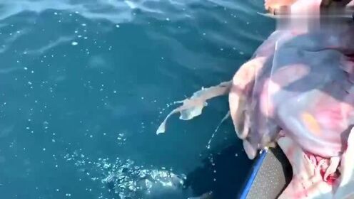 最新魚人流技術(shù)革命，高科技產(chǎn)品重塑未來生活體驗