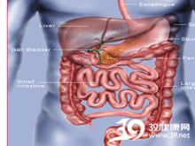 高科技產(chǎn)品重塑生活，體驗前沿魅力，探索腸鳴最新技術(shù)