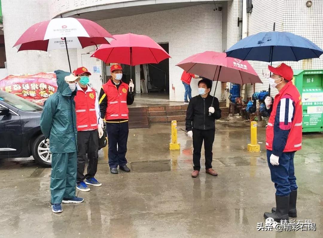 石碣最新疫情動態(tài)，變化中的學習，鑄就未來力量