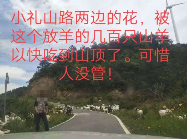 大悟最新路，探索未知，自信成就夢(mèng)想之旅的啟程