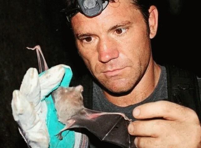 蝙蝠最新電影，自信與成長的翅膀，勵志翱翔天空之旅