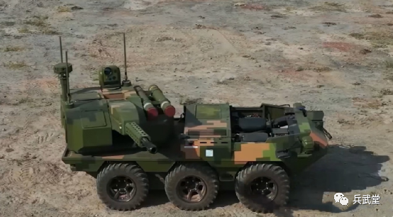 揭秘山貓神秘面紗，三大要點一網(wǎng)打盡！