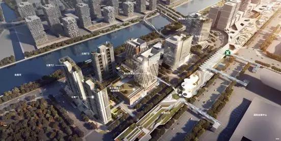 新中港最新動態(tài)，時代的新航標已啟航