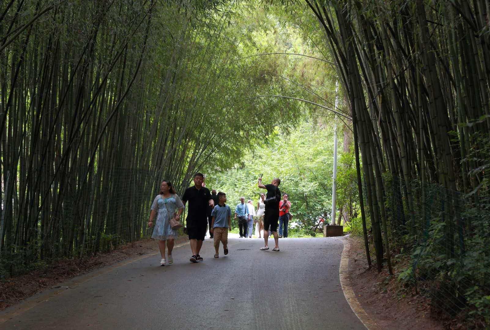 全家最新優(yōu)惠攻略，一步步教你享受最大優(yōu)惠折扣！