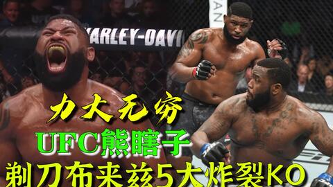 小菊最新比賽，友誼與夢想的絢爛綻放