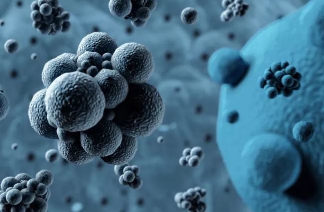 病毒擴散最新情況，自然探險之旅尋求內心平和之地