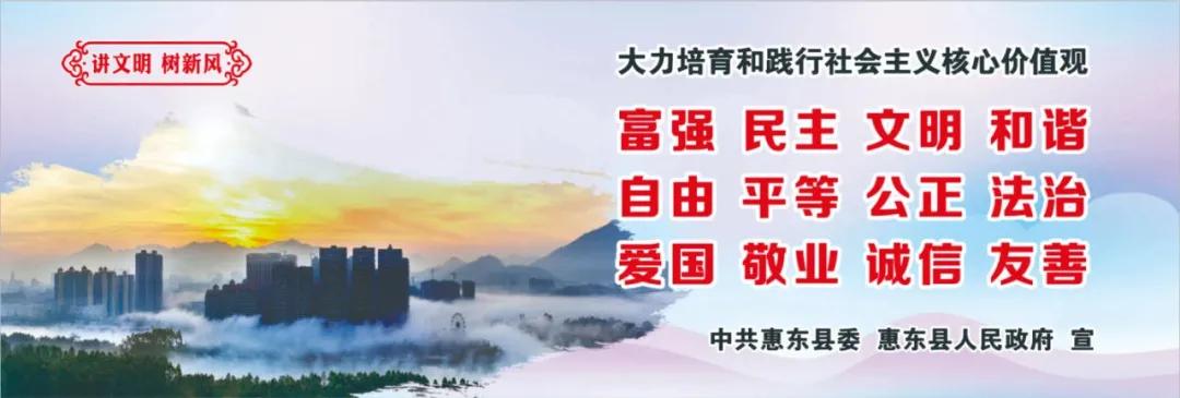 惠州肺炎最新動(dòng)態(tài)，小巷深處的獨(dú)特小店背后的故事