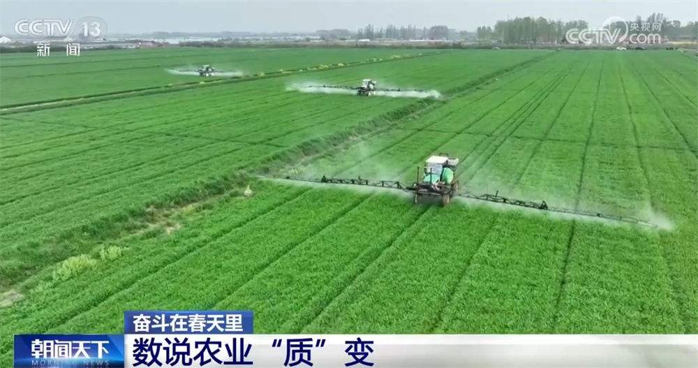 最新農(nóng)業(yè)農(nóng)村發(fā)展，播種希望，收獲自信與成就感