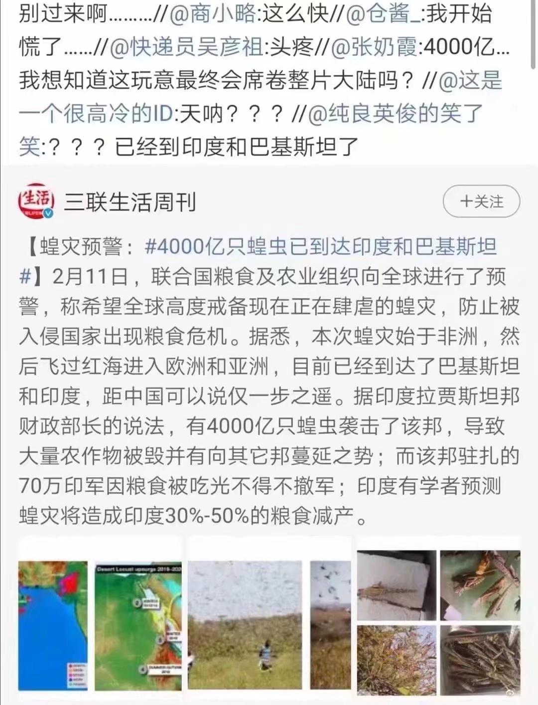 蝗蟲最新動(dòng)態(tài)，防治與監(jiān)測(cè)的全面指南