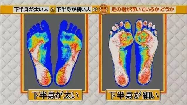 最新地趾論述，探索、爭議與觀點綜述