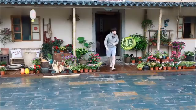 最新蘑菇屋，自然與生活完美融合的夢幻之地