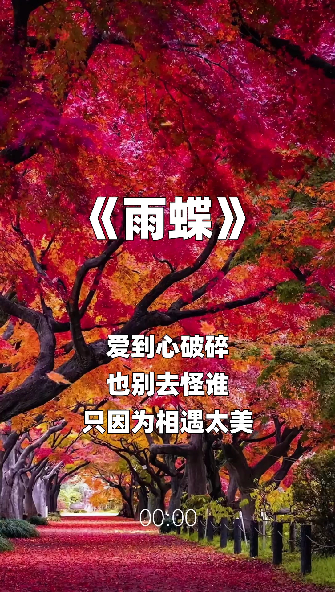 雨蝶最新步驟指南，如何完成任務(wù)或?qū)W習(xí)技能？