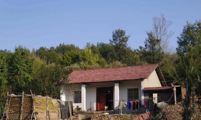 新時(shí)代田園生活揭秘，鄉(xiāng)村農(nóng)村的最新風(fēng)貌與體驗(yàn)