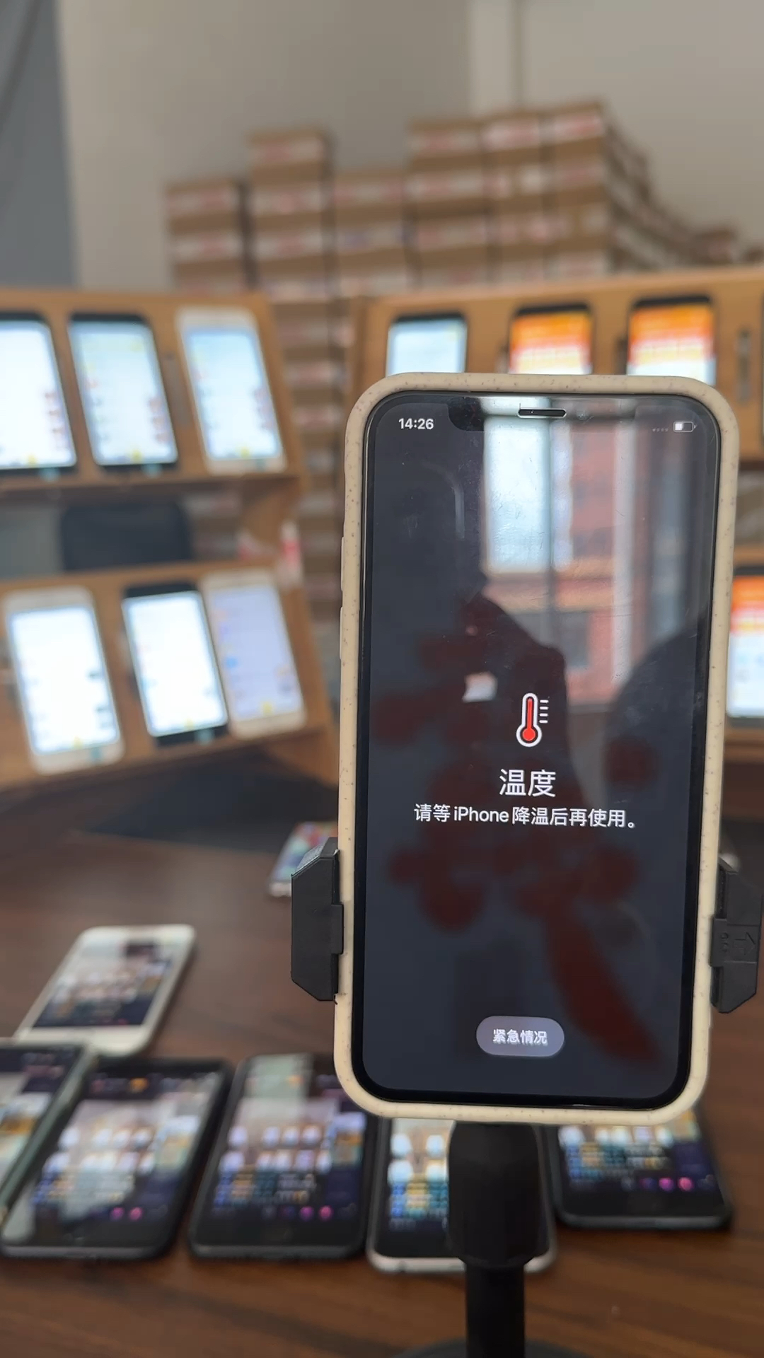 蘋果最新直播，科技與文化的完美融合盛宴