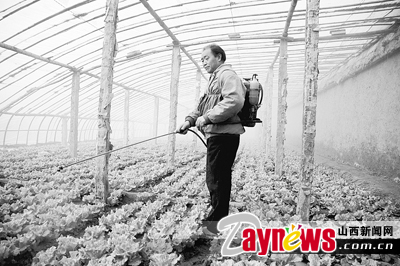 最新農(nóng)藥抽檢結(jié)果出爐，守護(hù)農(nóng)田安全，你我他的共同責(zé)任