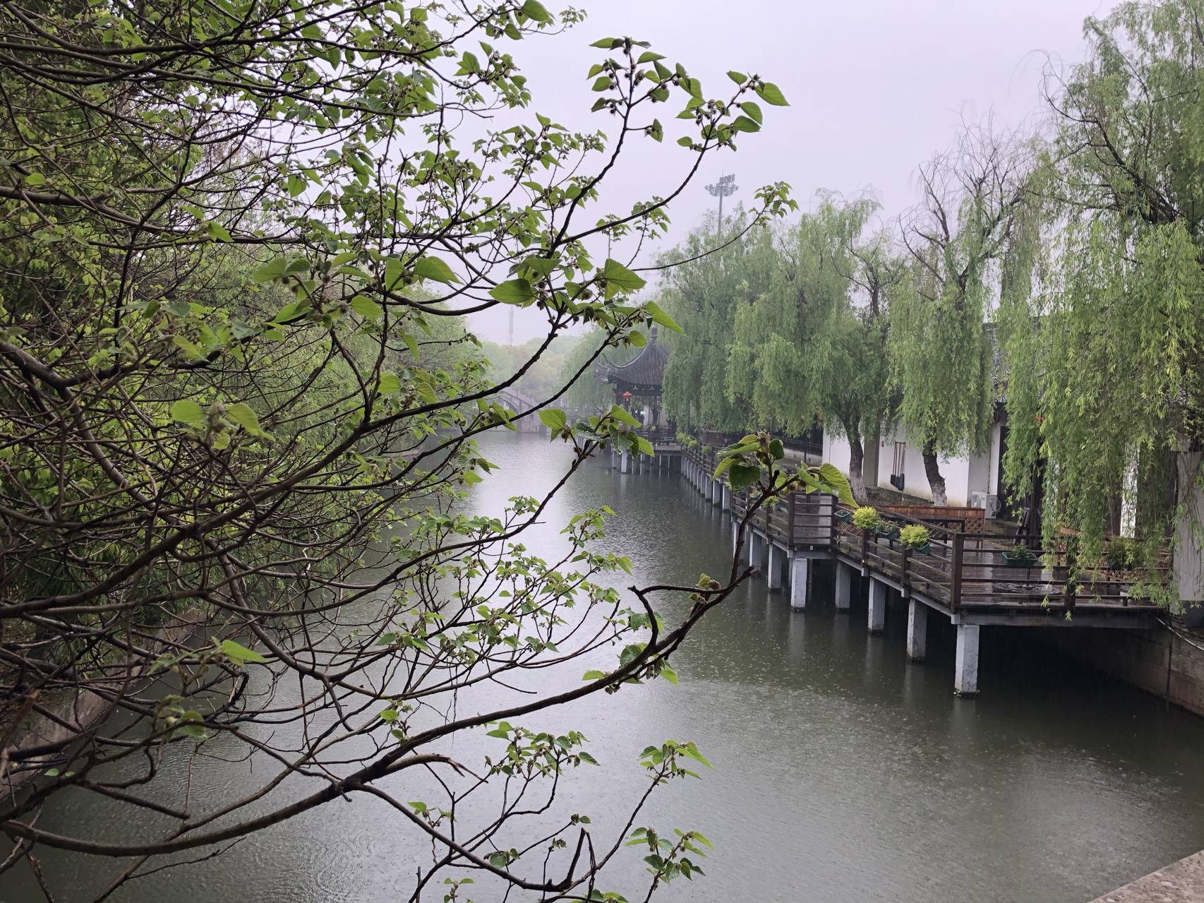 江南煙雨最新，自信與成就感的成長之旅