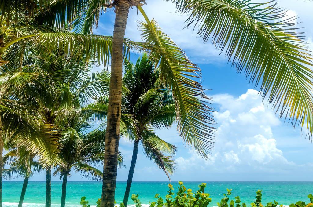 科技重塑旅行體驗，最新付費機場概覽