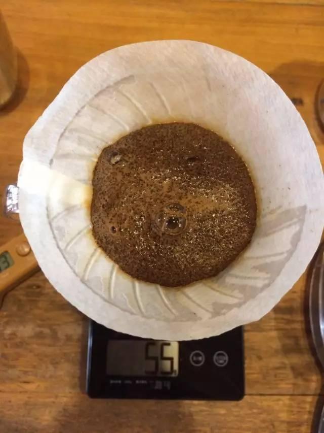 最新萃取法詳解，步驟指南與操作技巧