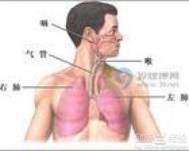咸豐肺炎最新全面指南與詳解，癥狀、治療、步驟解析