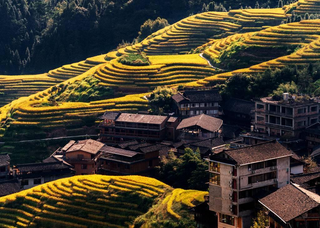 金秋天最新時尚潮流，獨(dú)特風(fēng)情展現(xiàn)魅力風(fēng)采