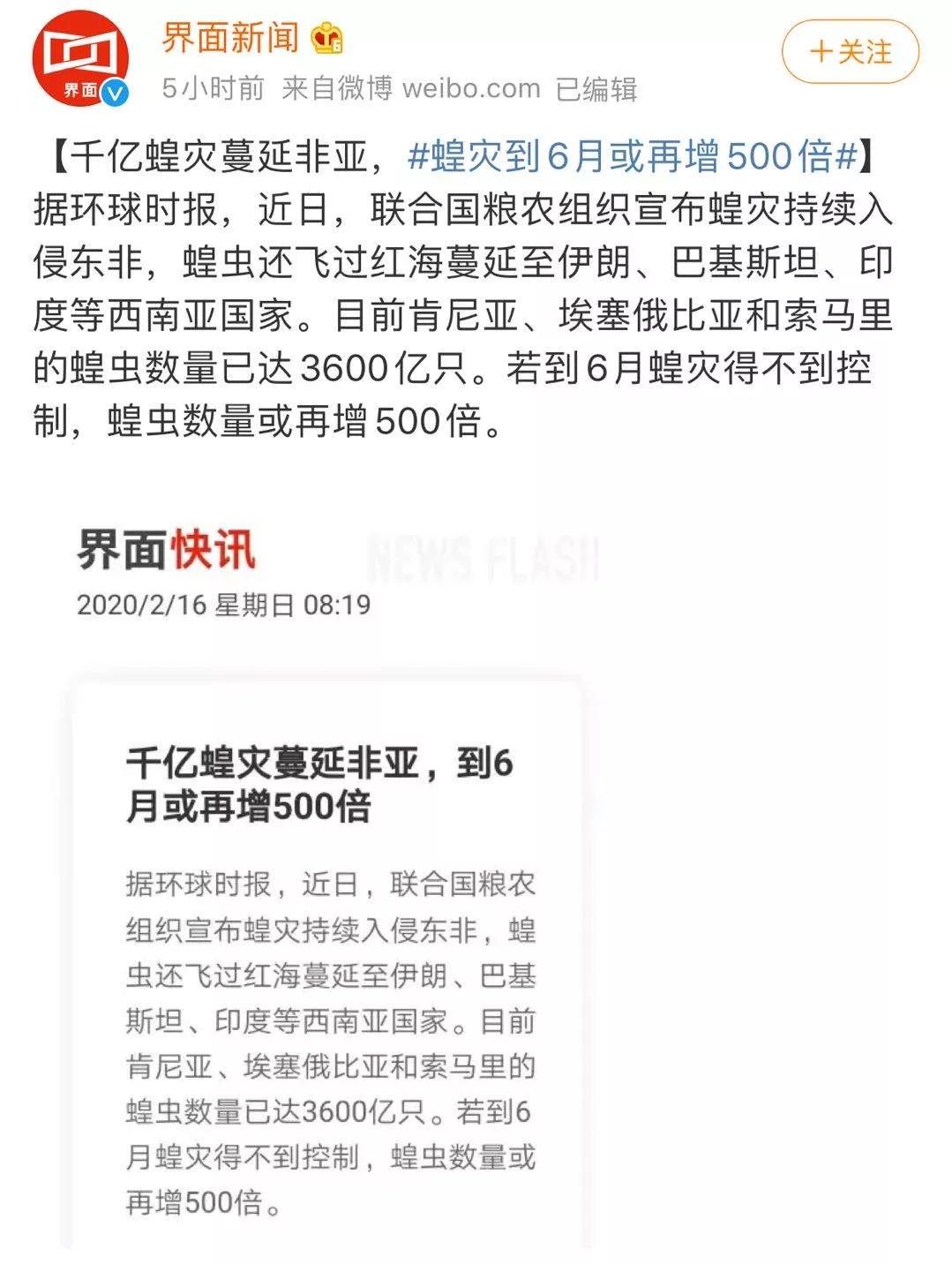 世界蝗災(zāi)最新動態(tài)，探索自然美景的輕松之旅