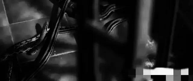 香港最新房?jī)r(jià)趨勢(shì)展望，2025年分析與展望