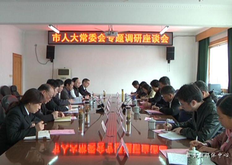 安徽歙縣最新動(dòng)態(tài)，小巷深處的驚喜