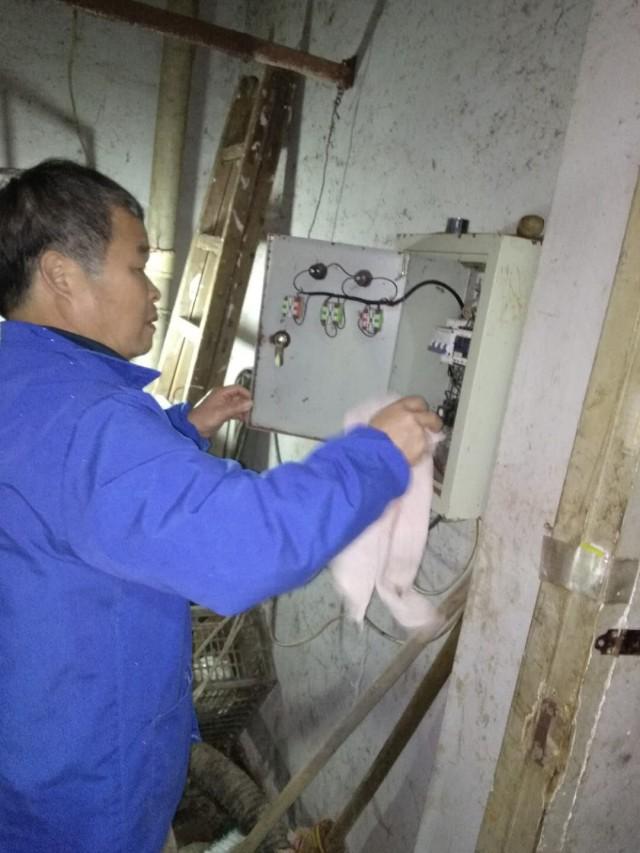 化糞池最新事件，心靈與自然的奇妙之旅