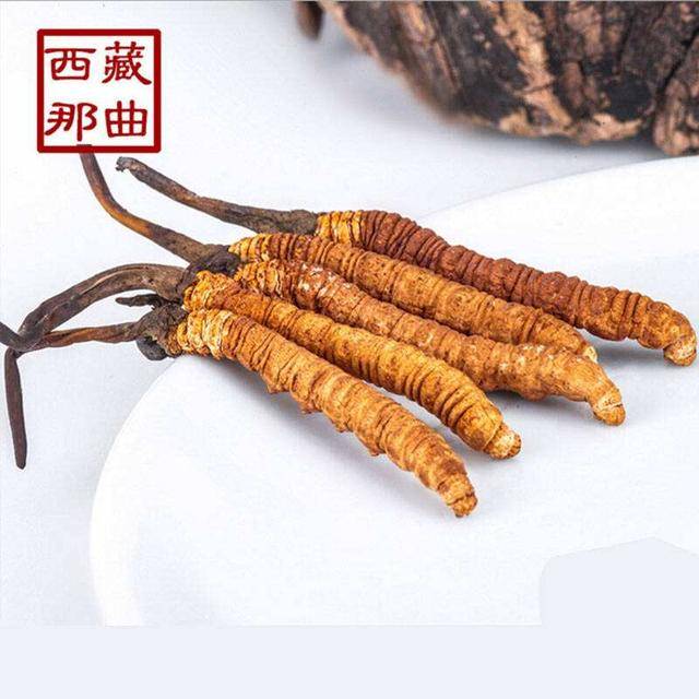 揭秘2025年蟲草最新價(jià)格，探尋小巷中的秘密行情！