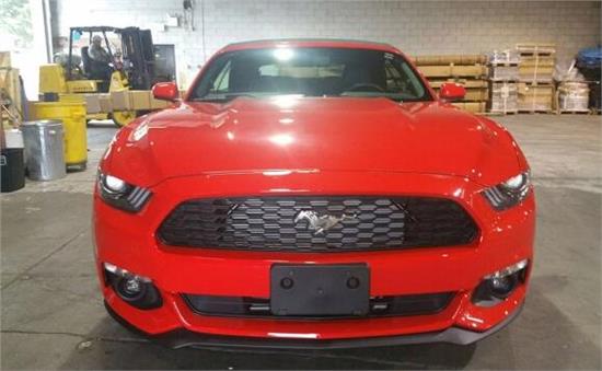 威路德最新款，小巷中的驚喜發(fā)現(xiàn)