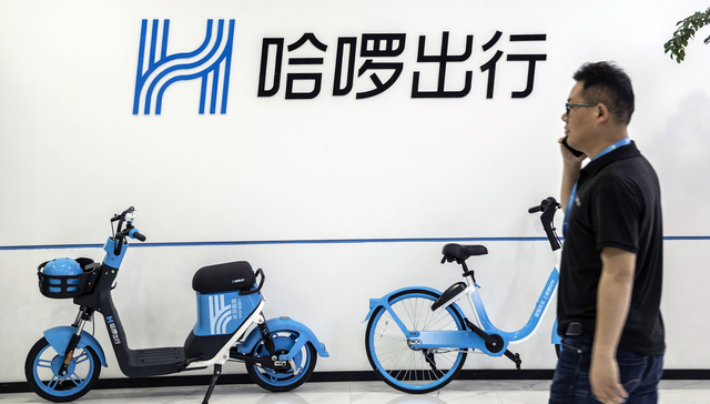 哈啰最新動態(tài)，擁抱自然美景的治愈之旅