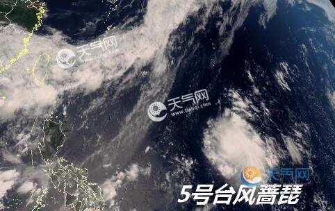 最新實(shí)時(shí)臺(tái)風(fēng)風(fēng)力查詢指南，風(fēng)力信息及查詢步驟全解析