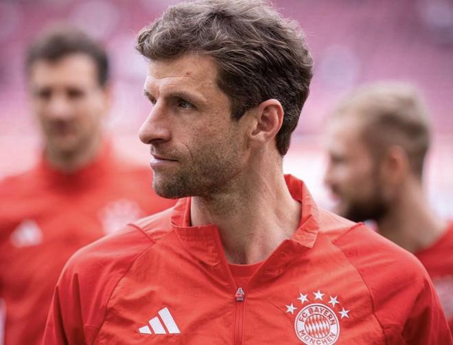 慕尼黑最新動態(tài)，城市生活的溫馨日常