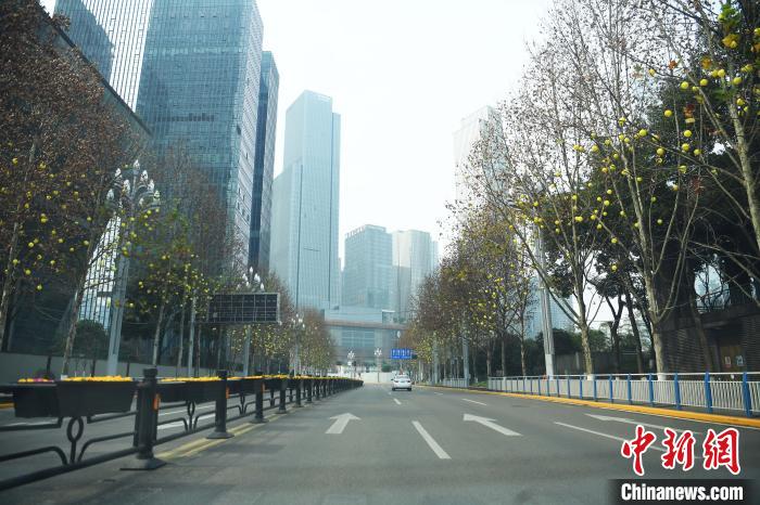 空城最新動(dòng)態(tài)解析，觀點(diǎn)與立場(chǎng)深度解讀